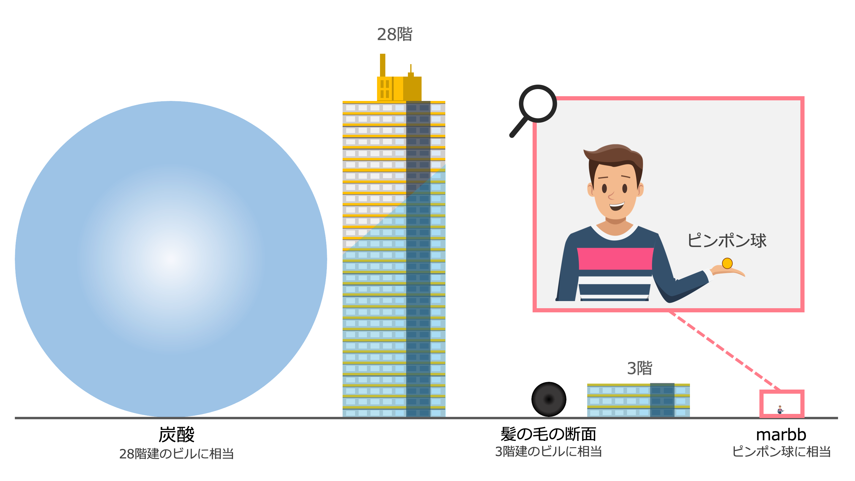 マイクロバブルの大きさ